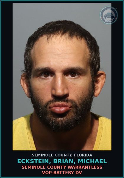 CCW arrest card for ECKSTEIN, BRIAN, MICHAEL in Seminole County: SEMINOLE COUNTY WARRANTLESS VOP-BATTERY DV