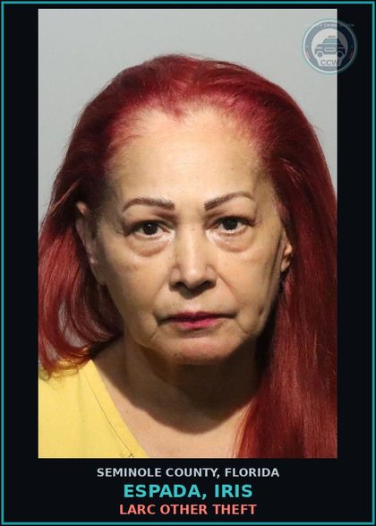 CCW arrest card for ESPADA, IRIS in Seminole County: LARC OTHER THEFT