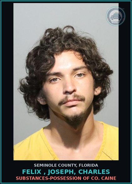 CCW arrest card for FELIX , JOSEPH, CHARLES in Seminole County: STALKING SEXUALLY CYBERHARASSES ANOTHER PERSON (DATING VIOLENCE) *GPS*