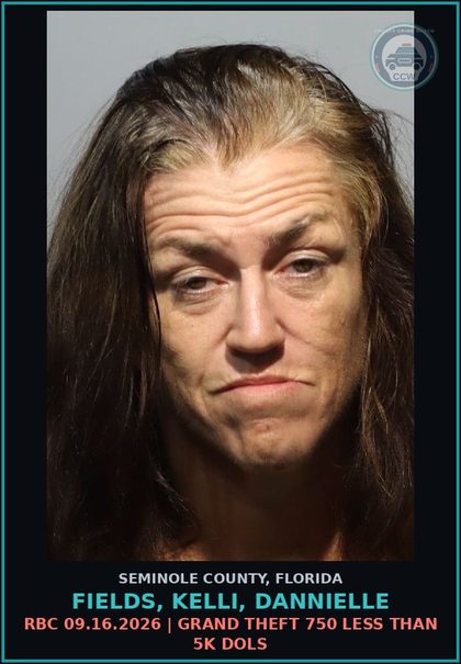 CCW arrest card for FIELDS, KELLI, DANNIELLE in Seminole County: RBC 09.16.2026 | GRAND THEFT 750 LESS THAN 5K DOLS