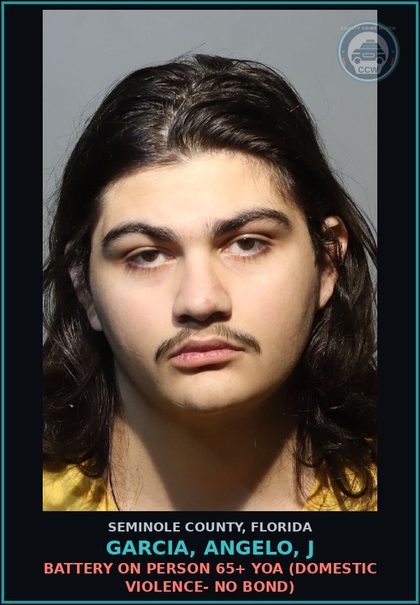 CCW arrest card for GARCIA, ANGELO, J in Seminole County: BATTERY ON PERSON 65+ YOA (DOMESTIC VIOLENCE- NO BOND)