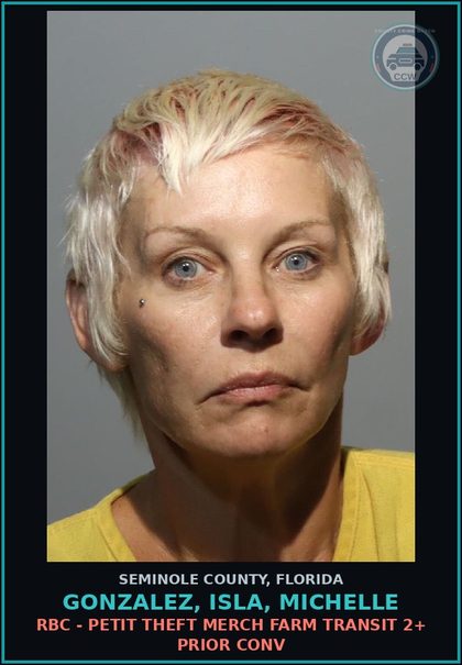 CCW arrest card for GONZALEZ, ISLA, MICHELLE in Seminole County: RBC - PETIT THEFT MERCH FARM TRANSIT 2+ PRIOR CONV