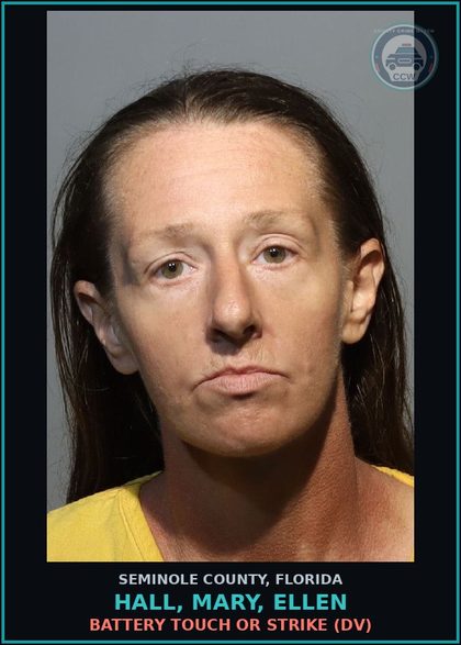 CCW arrest card for HALL, MARY, ELLEN in Seminole County: BATTERY TOUCH OR STRIKE (DV)