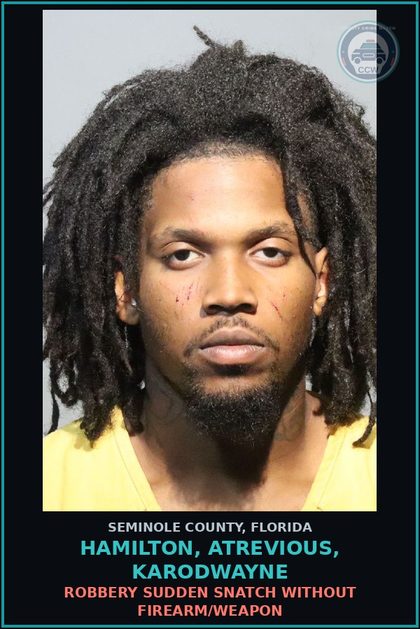 CCW arrest card for HAMILTON, ATREVIOUS, KARODWAYNE in Seminole County: AGGRAV ASSLT - WEAPON W DEADLY WEAPON WITHOUT INTENT TO KILL