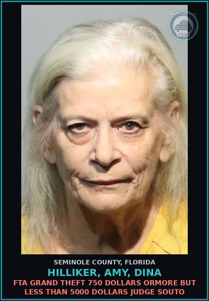 CCW arrest card for HILLIKER, AMY, DINA in Seminole County: FTA GRAND THEFT 750 DOLLARS ORMORE BUT LESS THAN 5000 DOLLARS JUDGE SOUTO