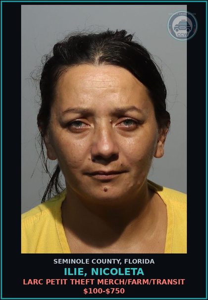 CCW arrest card for ILIE, NICOLETA in Seminole County: HOLD FOR IMMIGRATION DETAINER IN FILE
