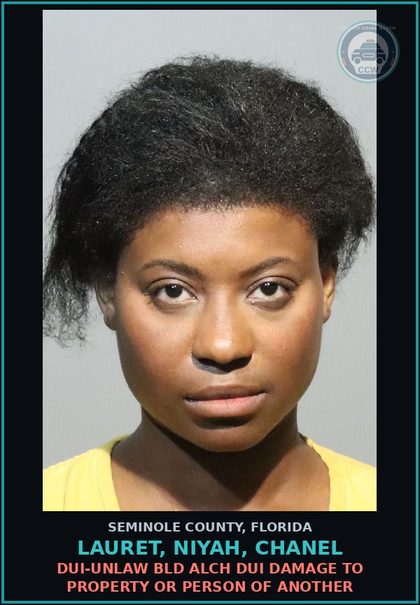 CCW arrest card for LAURET, NIYAH, CHANEL in Seminole County: DUI-UNLAW BLD ALCH DUI DAMAGE TO PROPERTY OR PERSON OF ANOTHER