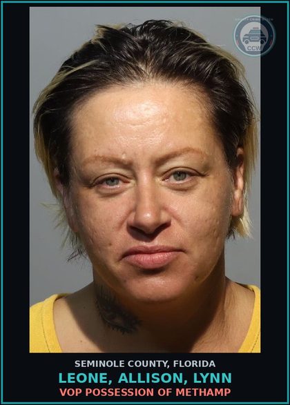 CCW arrest card for LEONE, ALLISON, LYNN in Seminole County: VOP POSSESSION OF Methamp