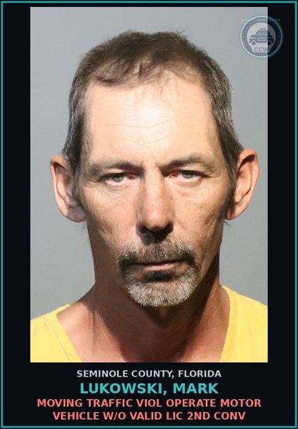 CCW arrest card for LUKOWSKI, MARK in Seminole County: MOVING TRAFFIC VIOL OPERATE MOTOR VEHICLE W/O VALID LIC 2ND CONV