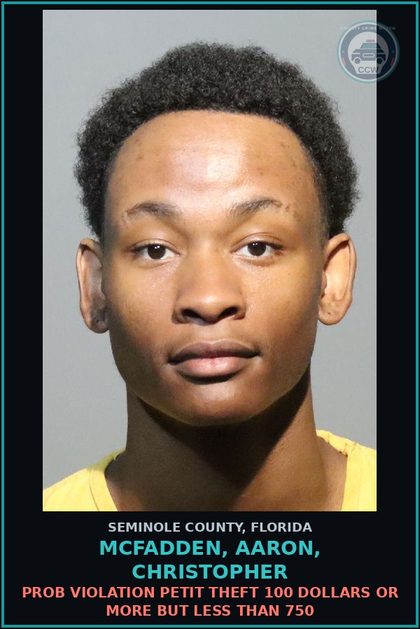 CCW arrest card for MCFADDEN, AARON, CHRISTOPHER in Seminole County: PROB VIOLATION LEAVING THE SCENE OF CRASH WITH PROPERTY DAMAGE ATTENDED VEH