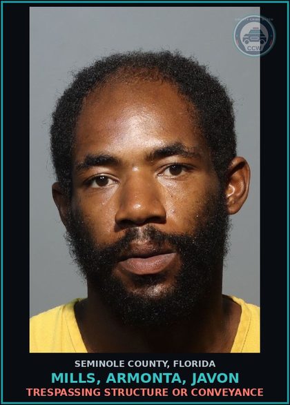 CCW arrest card for MILLS, ARMONTA, JAVON in Seminole County: LOITERING LOITER/PROWL IN UNSUAL PLACE OR MANNER