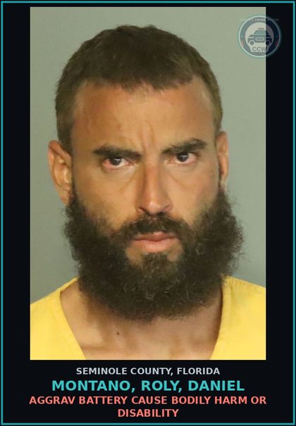 CCW arrest card for MONTANO, ROLY, DANIEL in Seminole County: AGGRAV BATTERY CAUSE BODILY HARM OR DISABILITY