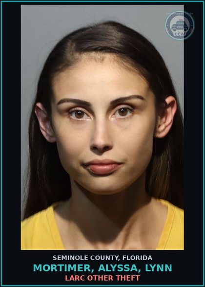 CCW arrest card for MORTIMER, ALYSSA, LYNN in Seminole County: LARC OTHER THEFT