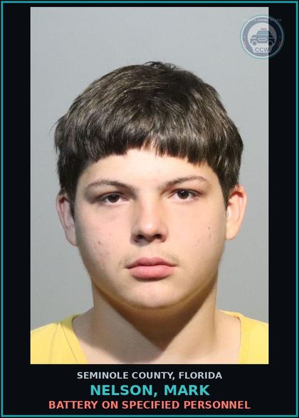 CCW arrest card for NELSON, MARK in Seminole County: BATTERY ON SPECIFIED PERSONNEL