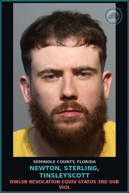CCW arrest card for NEWTON, STERLING, TINSLEYSCOTT in Seminole County: DWLSR REVOCATION EQUIV STATUS 3RD SUB VIOL