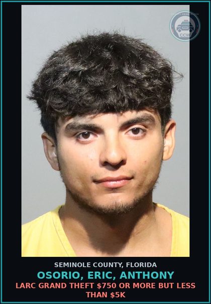 CCW arrest card for OSORIO, ERIC, ANTHONY in Seminole County: LARC GRAND THEFT $750 OR MORE BUT LESS THAN $5K