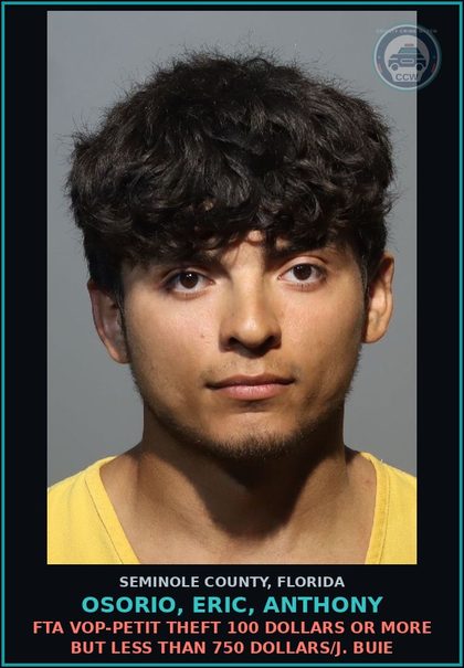 CCW arrest card for OSORIO, ERIC, ANTHONY in Seminole County: FTA VOP-PETIT THEFT 100 DOLLARS OR MORE BUT LESS THAN 750 DOLLARS/J. BUIE
