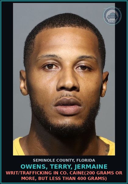 CCW arrest card for OWENS, TERRY, JERMAINE in Seminole County: HOLD DOC/MARTIN CI *WE BORROWED*