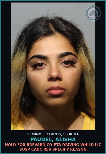CCW arrest card for PAUDEL, ALISHA in Seminole County: HOLD FOR BREVARD CO-FTA DRIVING WHILD LIC SUSP CANC REV SPECIFY REASON