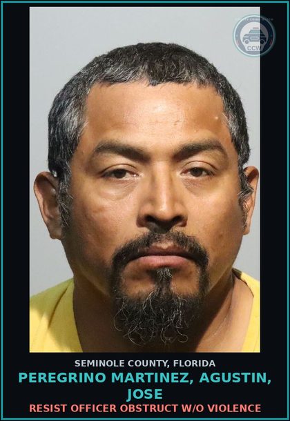CCW arrest card for PEREGRINO MARTINEZ, AGUSTIN, JOSE in Seminole County: PROCURE FOR Prosti SOLICIT PROCURE FOR Prosti 3RD SUBS VIOL