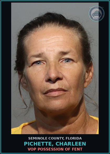 CCW arrest card for PICHETTE, CHARLEEN in Seminole County: VOP POSSESSION OF Fent