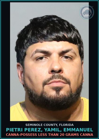 CCW arrest card for PIETRI PEREZ, YAMIL, EMMANUEL in Seminole County: Canna-POSSESS LESS THAN 20 GRAMS Canna
