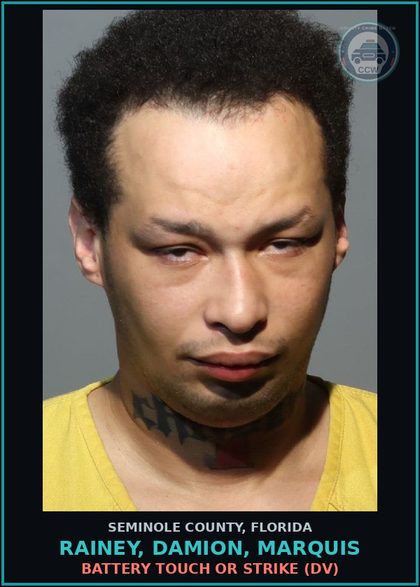 CCW arrest card for RAINEY, DAMION, MARQUIS in Seminole County: BATTERY TOUCH OR STRIKE (DV)