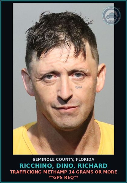 CCW arrest card for RICCHINO, DINO, RICHARD in Seminole County: NIC | GIVING A FALSE NAME OR IDENTIFICATION