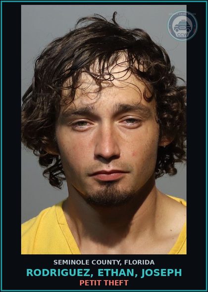 CCW arrest card for RODRIGUEZ, ETHAN, JOSEPH in Seminole County: PETIT THEFT