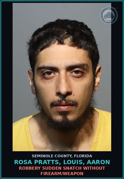 CCW arrest card for ROSA PRATTS, LOUIS, AARON in Seminole County: BATTERY TOUCH OR STRIKE **GPS REQ**