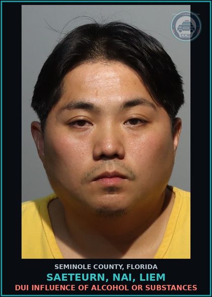 CCW arrest card for SAETEURN, NAI, LIEM in Seminole County: DUI INFLUENCE OF ALCOHOL OR DRUGS