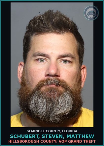 CCW arrest card for SCHUBERT, STEVEN, MATTHEW in Seminole County: HILLSBOROUGH COUNTY: VOP GRAND THEFT