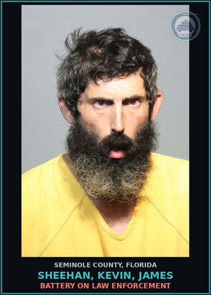 CCW arrest card for SHEEHAN, KEVIN, JAMES in Seminole County: BATTERY ON LAW ENFORCEMENT