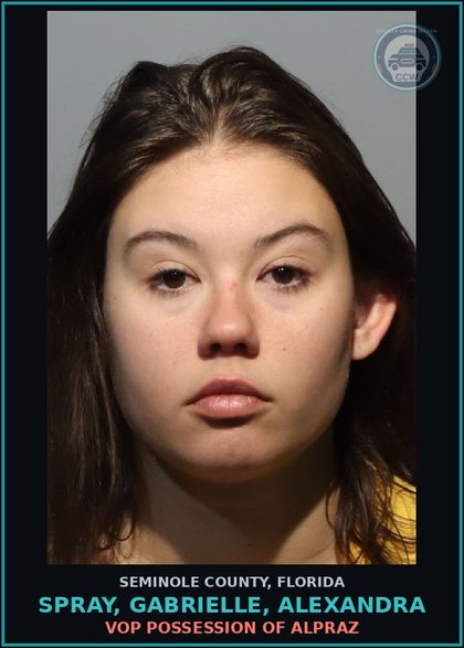 CCW arrest card for SPRAY, GABRIELLE, ALEXANDRA in Seminole County: VOP DRIVING UNDER THE INFLUENCE WITH AN ALCOHOL LEVEL OF 15 OR HIGHER