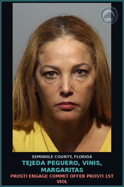 CCW arrest card for TEJEDA PEGUERO, VINIS, MARGARITAS in Seminole County: Prosti ENGAGE COMMIT OFFER Prosti 1ST VIOL