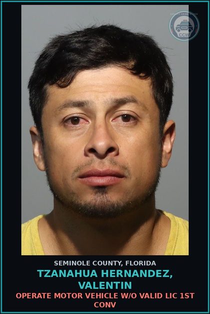 CCW arrest card for TZANAHUA HERNANDEZ, VALENTIN in Seminole County: OPERATE MOTOR VEHICLE W/O VALID LIC 1ST CONV