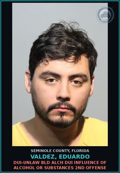 CCW arrest card for VALDEZ, EDUARDO in Seminole County: DUI-UNLAW BLD ALCH DUI INFLUENCE OF ALCOHOL OR DRUGS 2ND OFFENSE