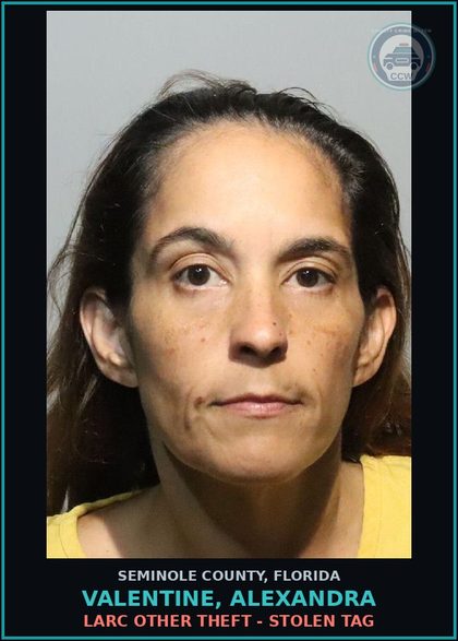 CCW arrest card for VALENTINE, ALEXANDRA in Seminole County: DRUG EQUIP-POSSESS AND OR USE