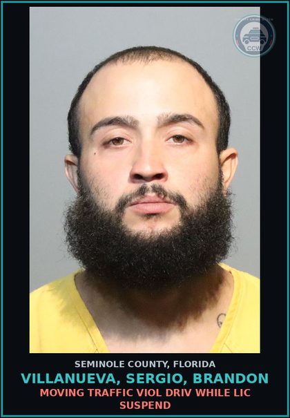 CCW arrest card for VILLANUEVA, SERGIO, BRANDON in Seminole County: MOVING TRAFFIC VIOL DRIV WHILE LIC SUSPEND