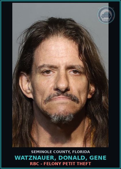 CCW arrest card for WATZNAUER, DONALD, GENE in Seminole County: RBC - FELONY PETIT THEFT