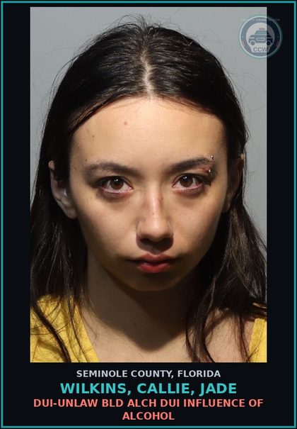 CCW arrest card for WILKINS, CALLIE, JADE in Seminole County: DUI-UNLAW BLD ALCH DUI INFLUENCE OF ALCOHOL