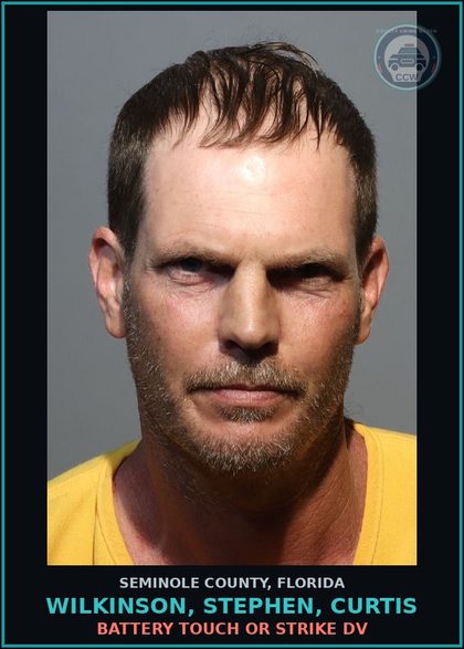 CCW arrest card for WILKINSON, STEPHEN, CURTIS in Seminole County: BATTERY TOUCH OR STRIKE DV