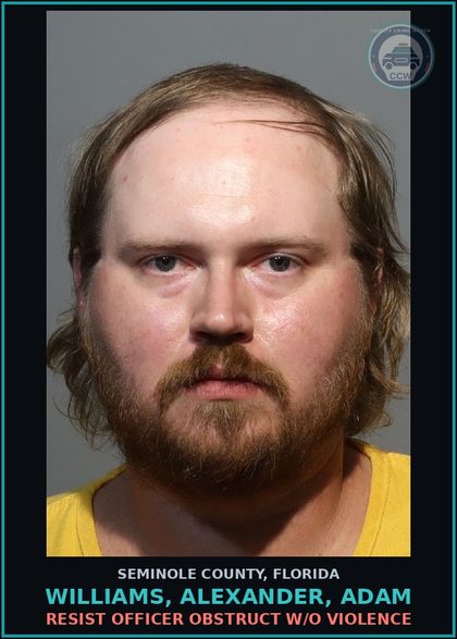 CCW arrest card for WILLIAMS, ALEXANDER, ADAM in Seminole County: RESIST OFFICER OBSTRUCT W/O VIOLENCE