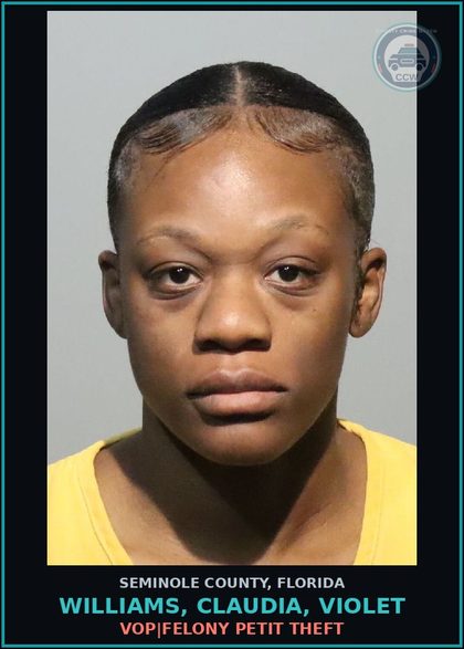 CCW arrest card for WILLIAMS, CLAUDIA, VIOLET in Seminole County: VOP|FELONY PETIT THEFT