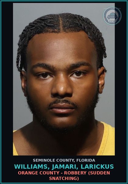 CCW arrest card for WILLIAMS, JAMARI, LARICKUS in Seminole County: ORANGE COUNTY - BATTERY (DOMESTIC BATTERY)