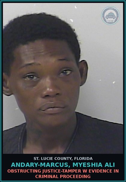 CCW arrest card for Andary-marcus, Myeshia Ali in St. Lucie County: Drug Equip-possess-and Or Use