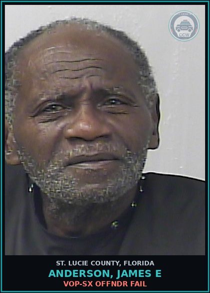 CCW arrest card for Anderson, James E in St. Lucie County: Vop-sx Offndr Fail