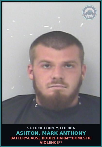 CCW arrest card for Ashton, Mark Anthony in St. Lucie County: Battery-cause Bodily Harm**domestic Violence**