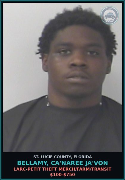 CCW arrest card for Bellamy, Ca'naree Ja'von in St. Lucie County: Larc-petit Theft Merch/farm/transit $100-$750