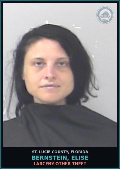 CCW arrest card for Bernstein, Elise in St. Lucie County: Larceny-other Theft